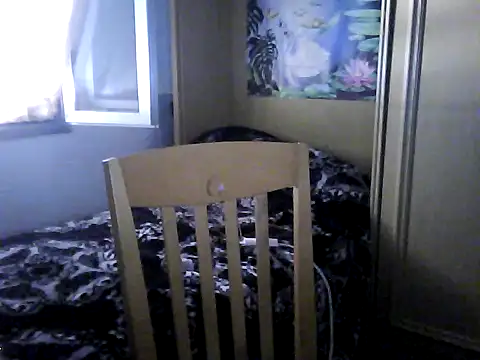 phanton29 webcam