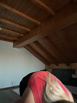 Naomi-Klein webcam