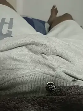 Telugu_Andhrawala_0304 webcam