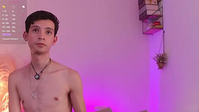 VicenteFerrer live cam