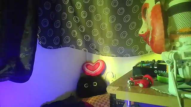 Guyst049 webcam