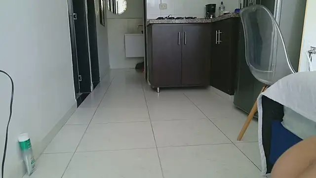 grey___27 webcam