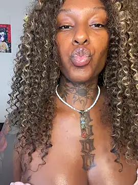 MistiSavannah webcam