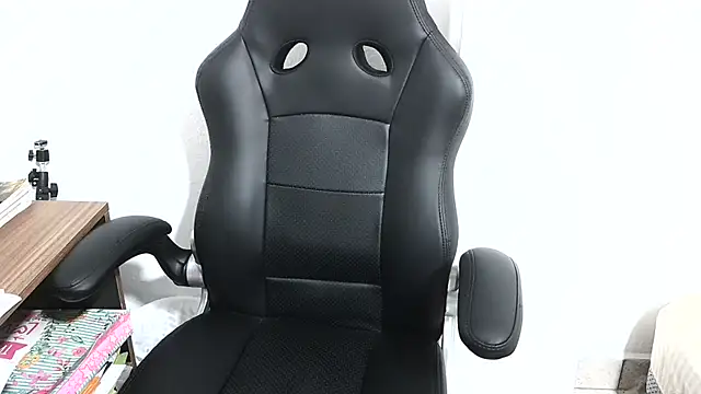 b1520 webcam