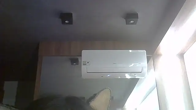 SkinnyKitten webcam