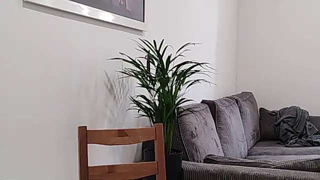 walter583 webcam