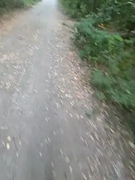 Nero19933 webcam