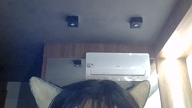 SkinnyKitten webcam