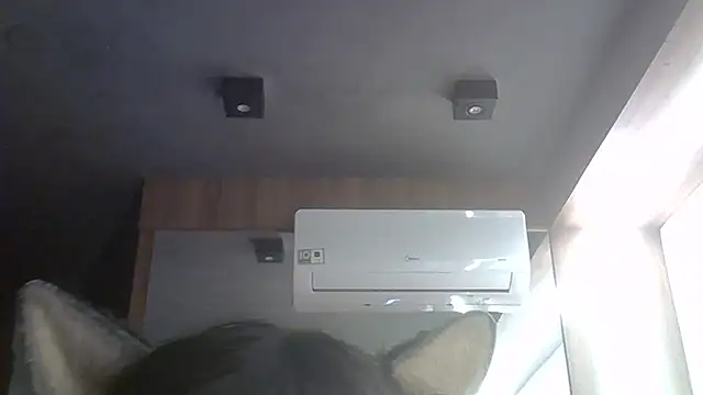 SkinnyKitten webcam