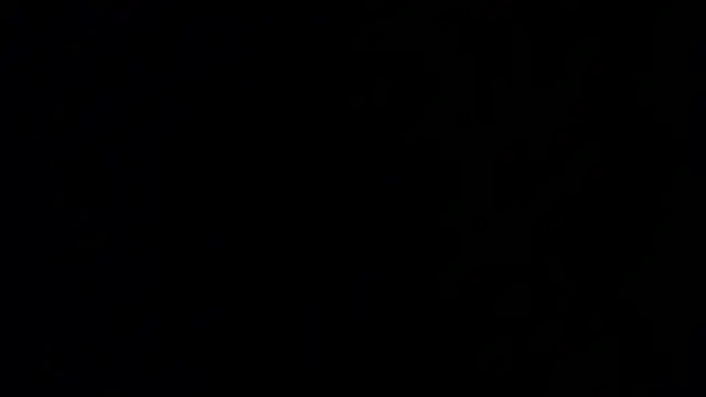 Damian64420 webcam