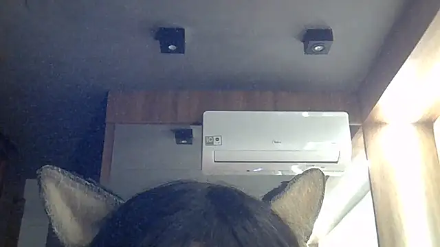 SkinnyKitten webcam