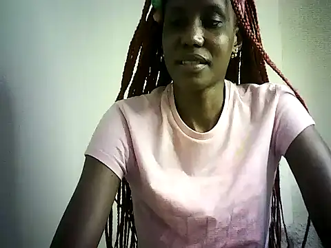 DelteAfriq webcam