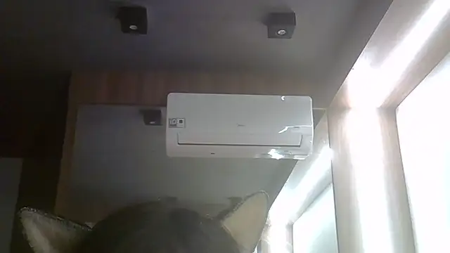 SkinnyKitten live cam