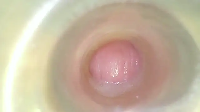 karol_stom live cam