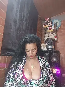 Alexandrina webcam