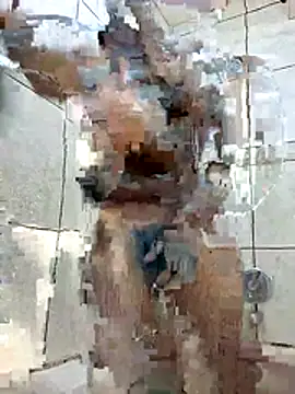 Mac15151 webcam