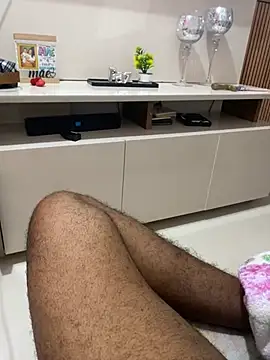 hudson19cm webcam