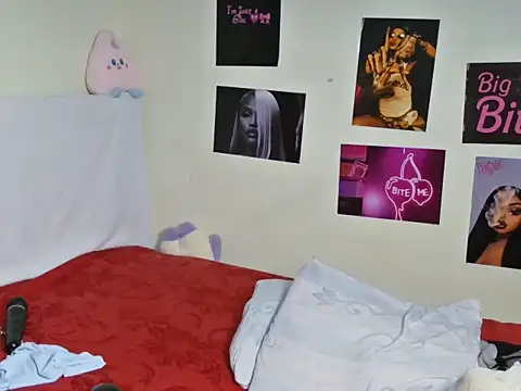Aria_ah webcam