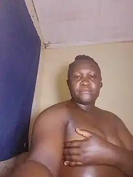 howty_dasha webcam