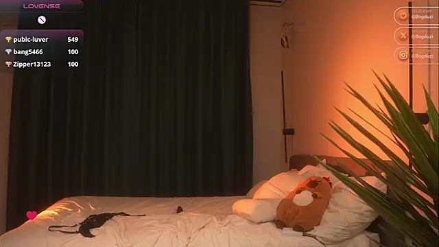 Bogduzi webcam