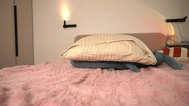 Dallass_ss webcam