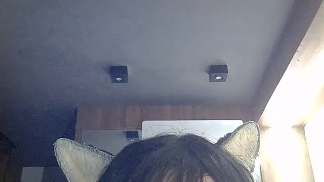SkinnyKitten webcam