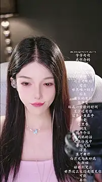 vv-77 webcam