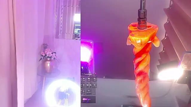 DannaScully_ webcam