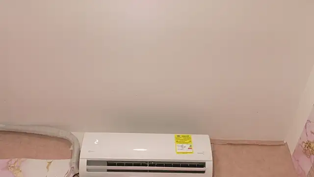 JeyJVazquez_ webcam