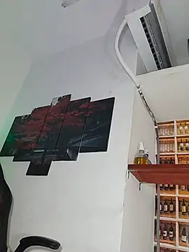 _Shirley_ webcam