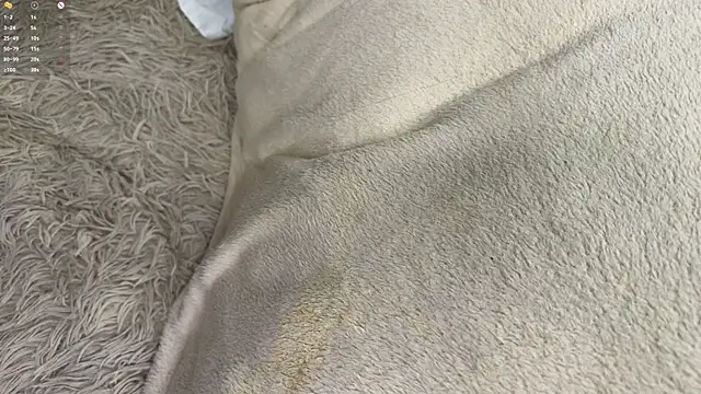 evafatcat