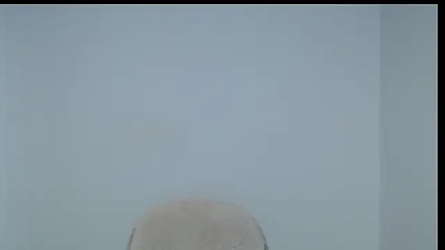 hiddenf webcam