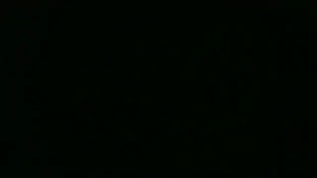 nakedgarbageperson webcam