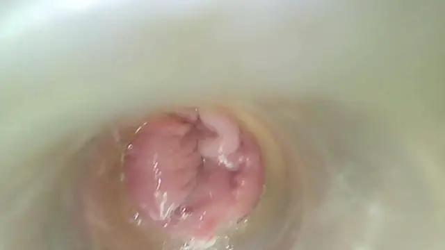 karol_stom webcam