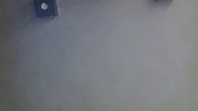 SkinnyKitten webcam