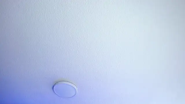 _Charlotte_Collins_ webcam
