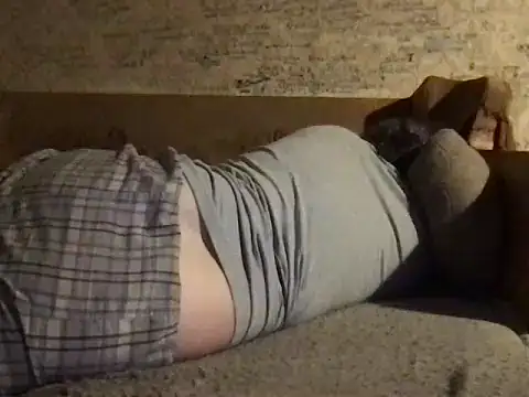 -TrafoX3- webcam