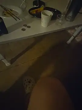 pokorogo2 webcam