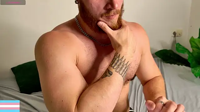 VictorTransMan webcam