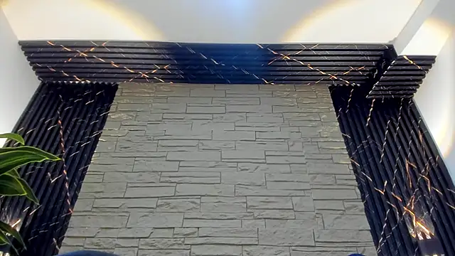 Lander_Cruz webcam