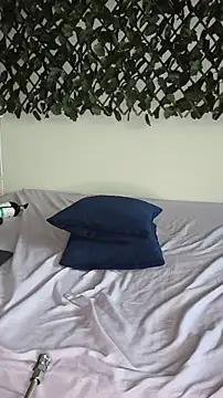 Mss_nyx webcam