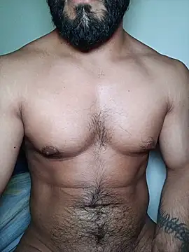 Afelpado webcam