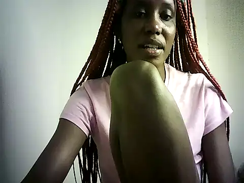 DelteAfriq webcam