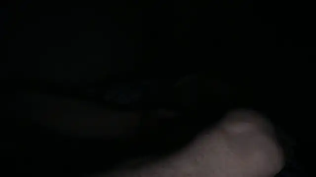 Lamonteik webcam