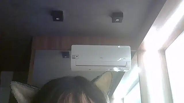 SkinnyKitten webcam