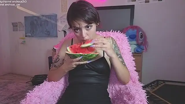 Kisi_misi webcam