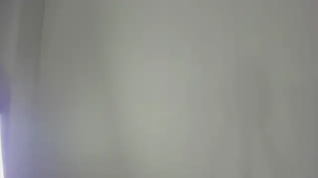 asher_lux webcam