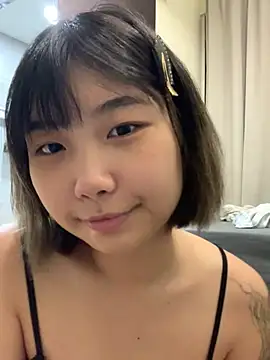 cu003 webcam
