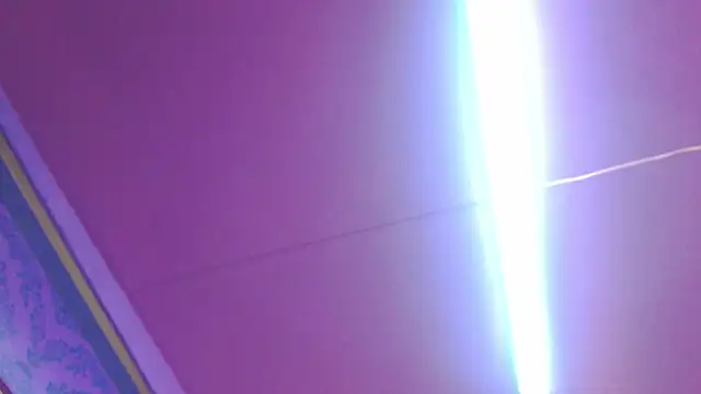 Mini_Rouse webcam