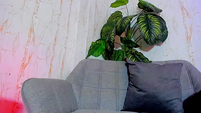 ren_flex webcam